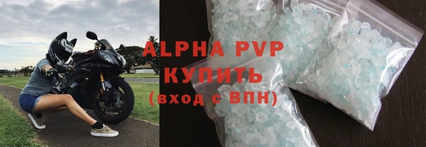 тгк Новозыбков
