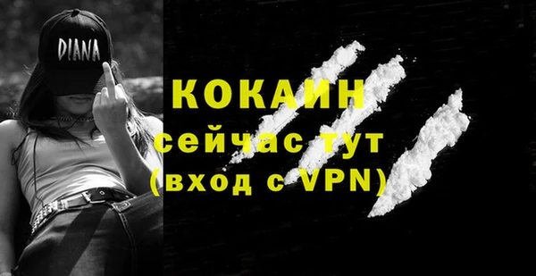 гидра Армянск